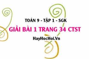 Bài 1 trang 34 Toán 9 tập 1 Chân trời sáng tạo cuối chương 2